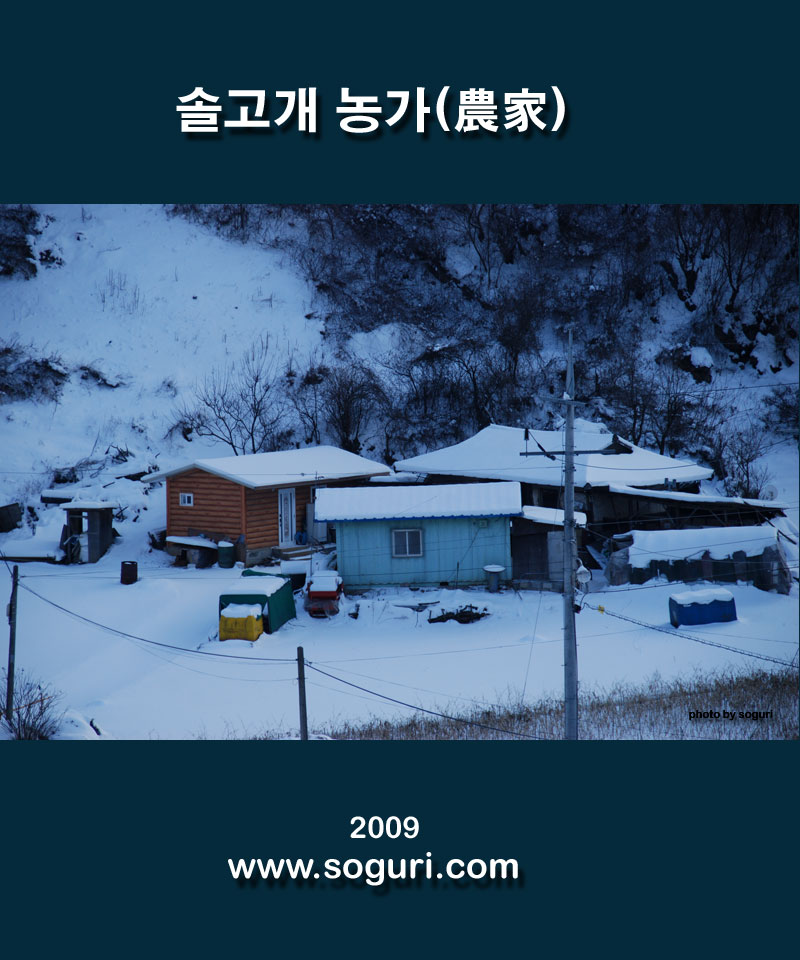 충북 단양 솔고개 농가(農家) 겨울풍경 - 2010년 1월 6일 
