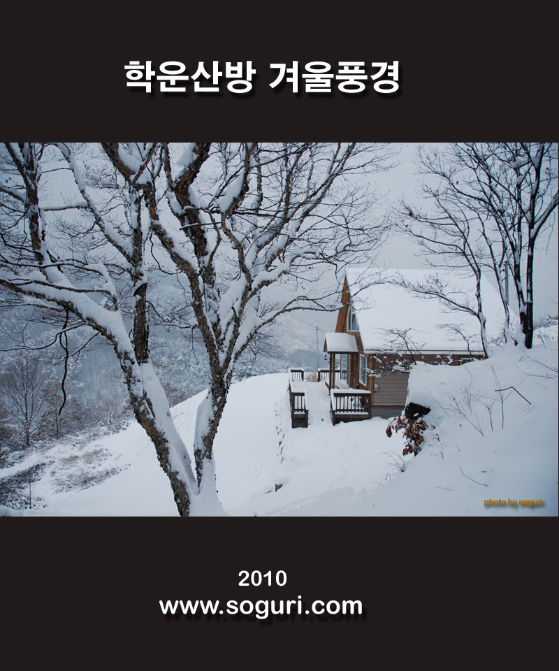 자작나무와 복층 조립식주택  설경(雪景) 